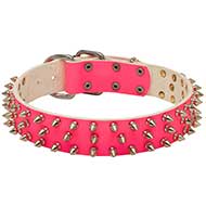 Collare in cuoio rosa "Spiked Holiday Collar Pink" per Labrador Collare in cuoio rosa "Spiked Holiday Collar Pink" per Labrador