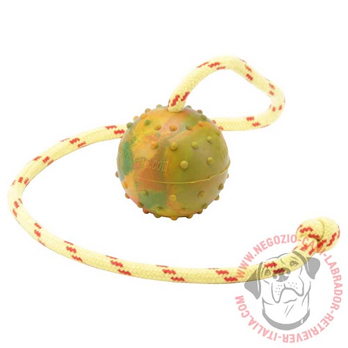 Palla in gomma con corda Cheerful Pet per Labrador