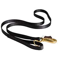 Guinzaglio in nylon rinforzato "Walk your dog" per Labrador