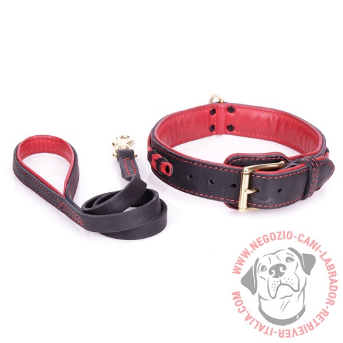 Set di collare con guinzaglio rosso-nero per Labrador