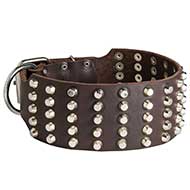 Collare in cuoio extra largo "Outright Gift" per Labrador Collare in cuoio extra largo "Outright Gift" per Labrador