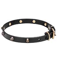 Collare "Age of Style" largo 2 cm per Labrador Retriever Collare "Age of Style" largo 2 cm per Labrador Retriever