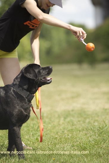 Palla in gomma per gioco del cane