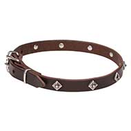 Collare "Cosmic Stars" largo 2 cm per Labrador Retriever Collare "Cosmic Stars" largo 2 cm per Labrador Retriever