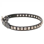 Collare "King Studs" largo 2 cm per Labrador Retriever Collare "King Studs" largo 2 cm per Labrador Retriever
