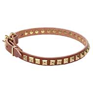 Collare "Necklace-like" largo 2 cm per Labrador Retriever Collare "Necklace-like" largo 2 cm per Labrador Retriever