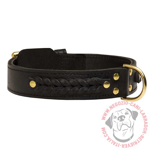 Elegante e resistente collare per Labrador Retriever