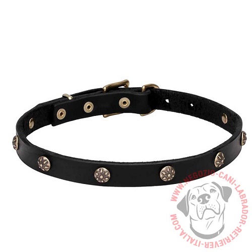Collare "Cloak and Sword" largo 2 cm per Labrador Retriever - Clicca l'immagine per chiudere