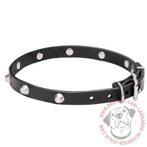 Collare "Beauty & Elegance" largo 2 cm per Labrador Retriever - Clicca l'immagine per chiudere