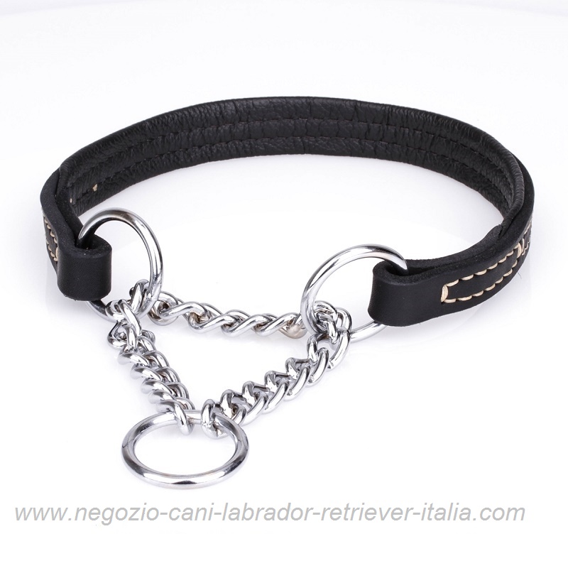 Collare a semistrozzo "Safe Control" per Labrador Retriever - Clicca l'immagine per chiudere