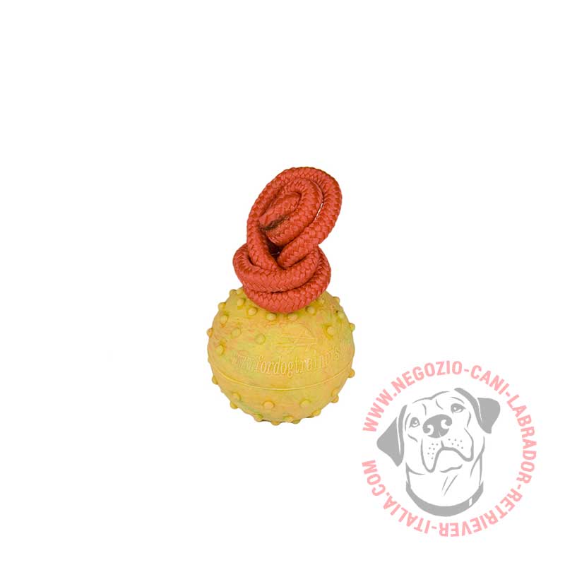 Palla in gomma con corda "Playful Dog" per Labrador - Clicca l'immagine per chiudere