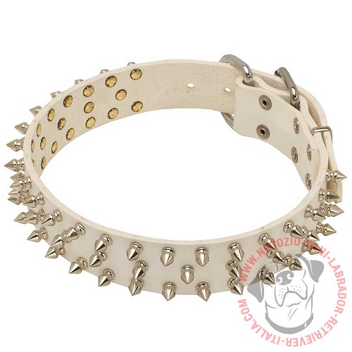 Collare in cuoio "Spiked Holiday Collar White" per Labrador - Clicca l'immagine per chiudere