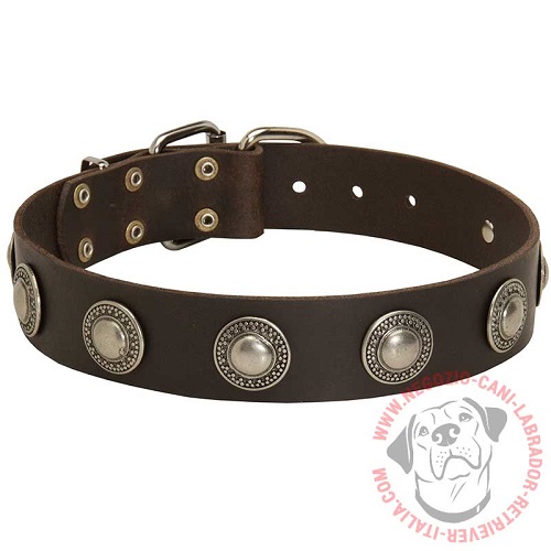 Collare con borchie rotonde stile vintage per Labrador Retriever - Clicca l'immagine per chiudere