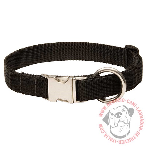 Collare in nylon "Reliable grip" per Labrador Retriever - Clicca l'immagine per chiudere