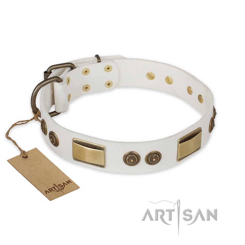 FDT Artisan - Collare bianco "Golden Avalanche" per Labrador - Clicca l'immagine per chiudere