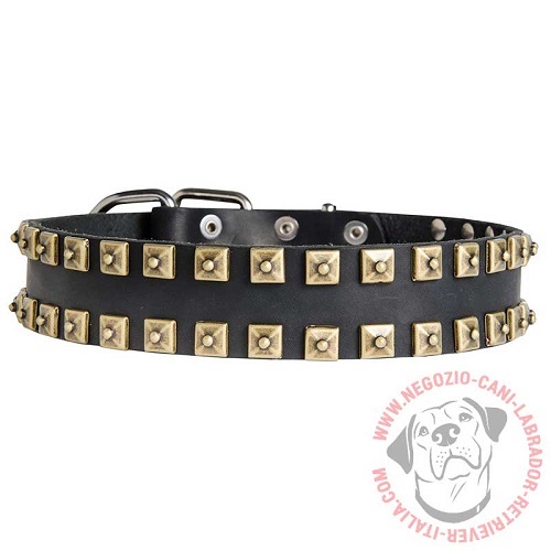 Collare in cuoio "Gift from Egypt" per Labrador Retriever - Clicca l'immagine per chiudere