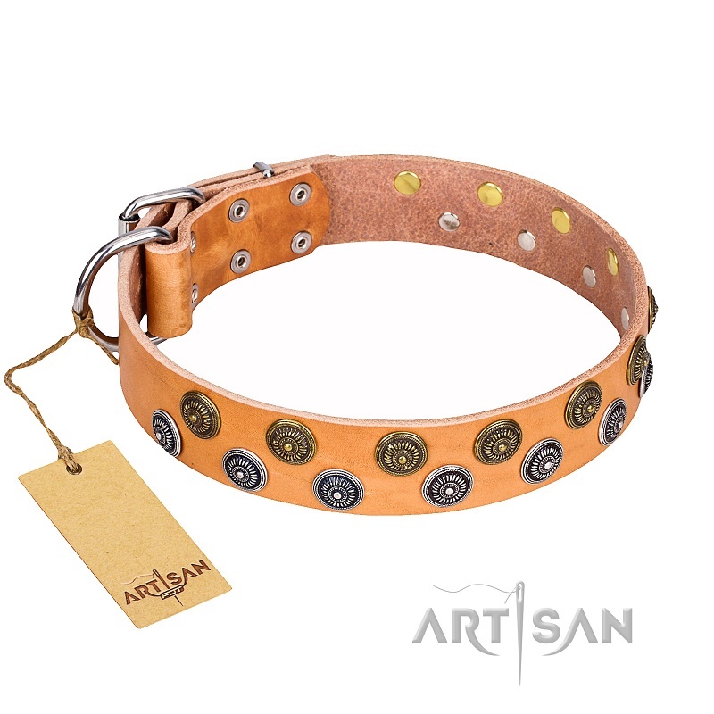 FDT Artisan - Collare in cuoio "Precious Spark" per Labrador - Clicca l'immagine per chiudere