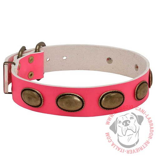 Collare in pelle rosa "Eccentric Style" per Labrador Retriever - Clicca l'immagine per chiudere