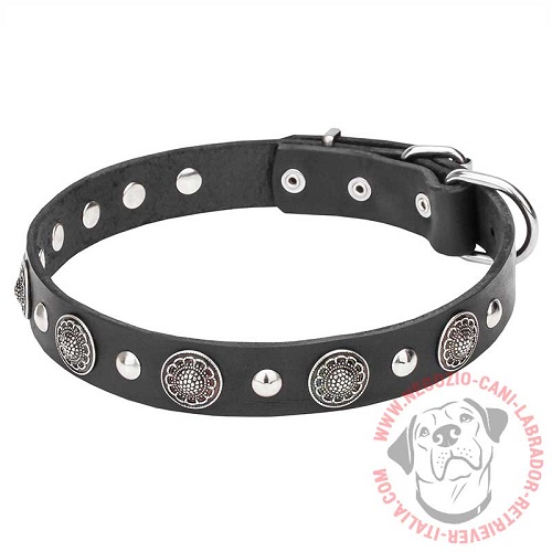 Collare in pelle "Shiny Charm" per Labrador Retriever - Clicca l'immagine per chiudere