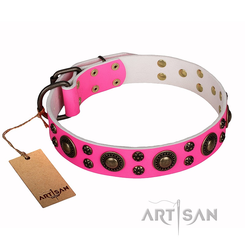 FDT Artisan - Collare rosa "Pink of perfection" per Labrador - Clicca l'immagine per chiudere