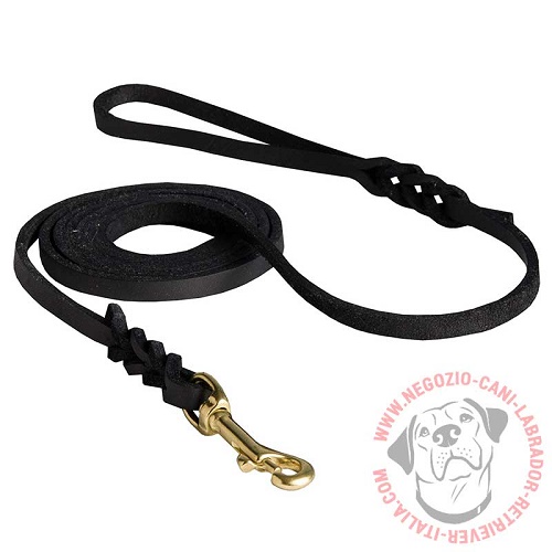 Guinzaglio "Show dog" largo 1 cm per Labrador Retriever - Clicca l'immagine per chiudere