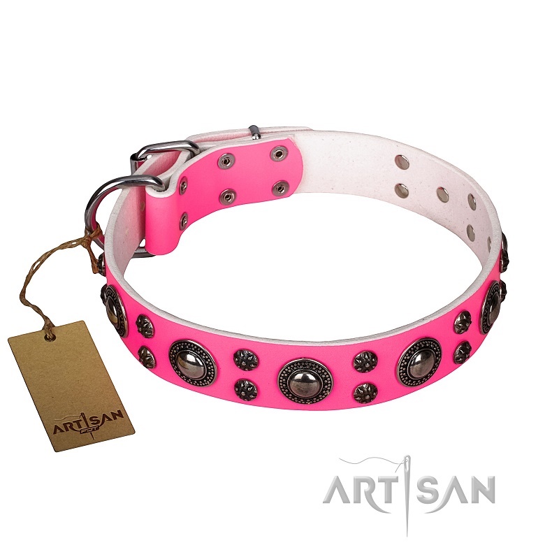 FDT Artisan - Collare rosa "Rich Berry" per Labrador Retriever - Clicca l'immagine per chiudere