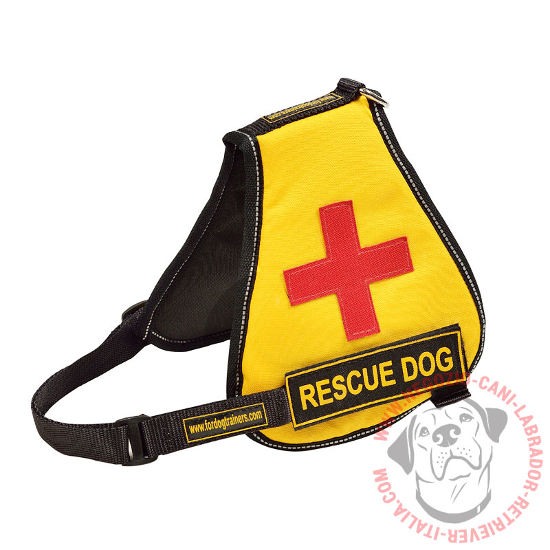 Gilet in nylon per Labrador di servizio "Service Dog" - Clicca l'immagine per chiudere