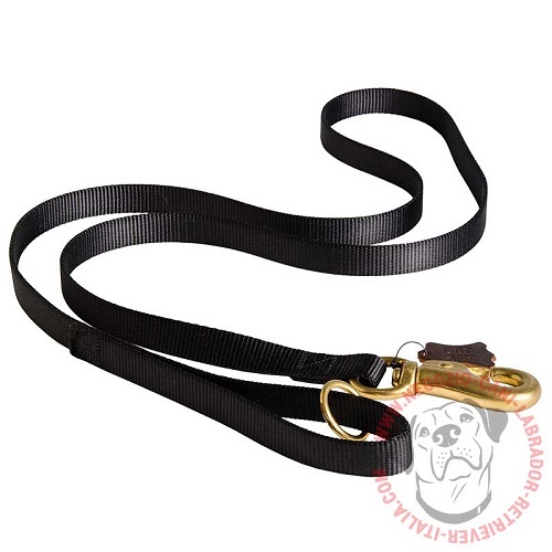 Guinzaglio in nylon rinforzato "Walk your dog" per Labrador - Clicca l'immagine per chiudere