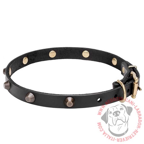 Collare "Age of Style" largo 2 cm per Labrador Retriever - Clicca l'immagine per chiudere