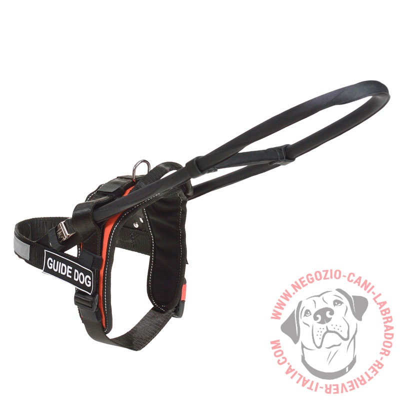 Pettorina "Steadfast Friend" per Labrador Retriever guida - Clicca l'immagine per chiudere