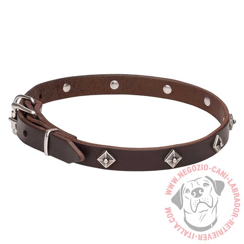 Collare "Cosmic Stars" largo 2 cm per Labrador Retriever - Clicca l'immagine per chiudere