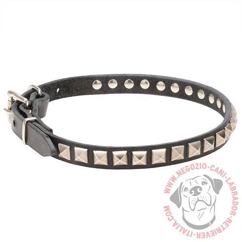 Collare "King Studs" largo 2 cm per Labrador Retriever - Clicca l'immagine per chiudere