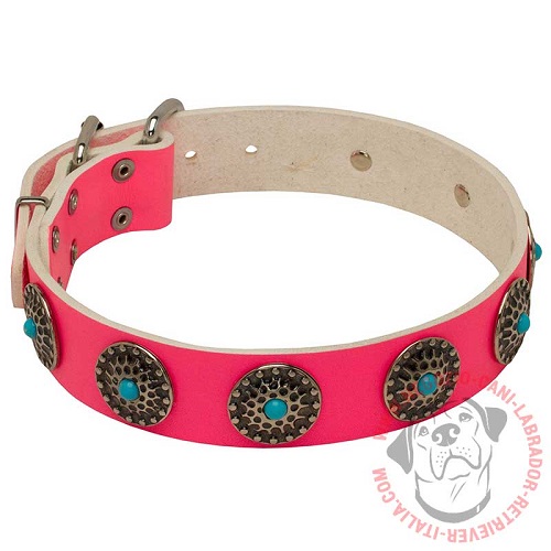 Collare in pelle rosa "Pinc rainbow" per Labrador Retriever - Clicca l'immagine per chiudere