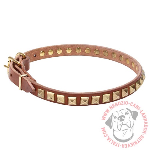 Collare "Necklace-like" largo 2 cm per Labrador Retriever - Clicca l'immagine per chiudere