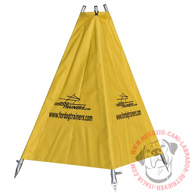 Piccolo nascondiglio "Find me" per addestramento del Labrador - Clicca l'immagine per chiudere