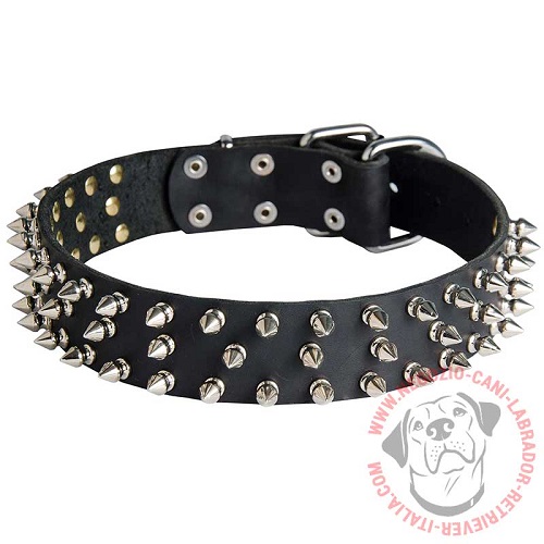 Collare in cuoio con punte "Spiked Holiday Collar" per Labrador - Clicca l'immagine per chiudere