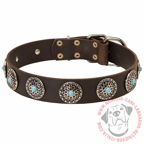 Collare in pelle "Starlit night" per passeggiate con Labrador - Clicca l'immagine per chiudere