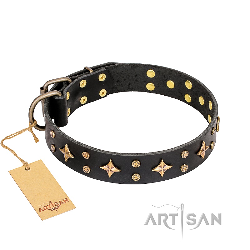 FDT Artisan - Collare nero "A La Mode" per Labrador Retriever - Clicca l'immagine per chiudere