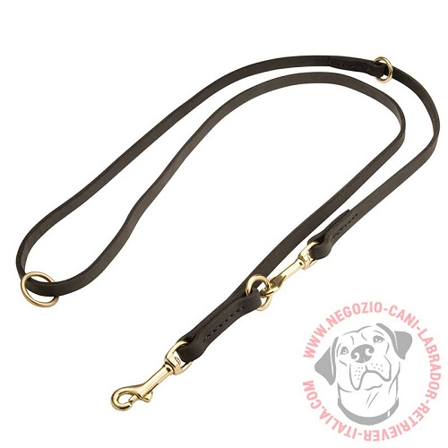 Guinzaglio multiuso "Strong & Sturdy" per Labrador Retriever - Clicca l'immagine per chiudere