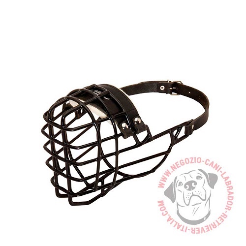 Museruola a cestello in metallo gommato per Labrador Retriever - Clicca l'immagine per chiudere