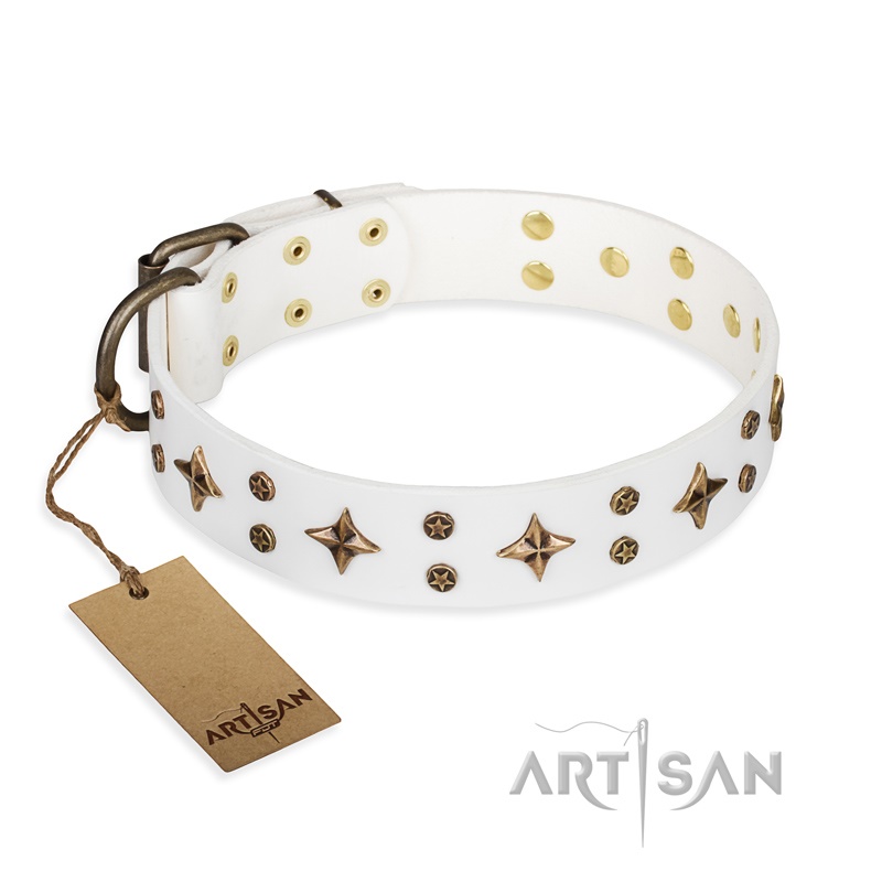 FDT Artisan - Collare bianco "Bright stars" per Labrador - Clicca l'immagine per chiudere