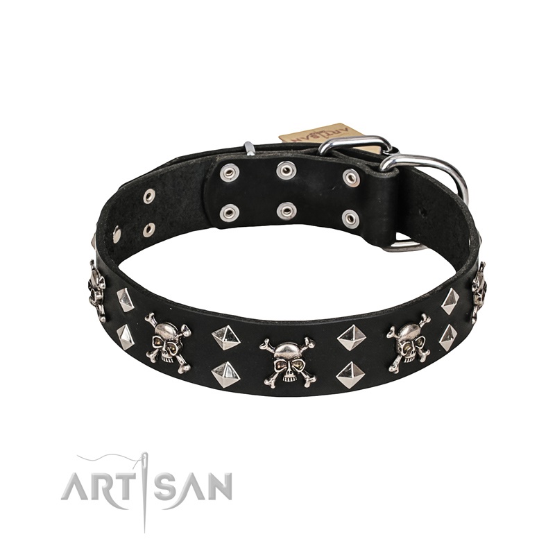 FDT Artisan - Collare "Fancy Rock'n'Roll" per Labrador Retriever - Clicca l'immagine per chiudere