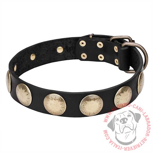 Elegante collare "Hip and Edgy" per Labrador Retriever - Clicca l'immagine per chiudere