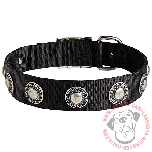 Collare con placche effetto argento anticato per Labrador - Clicca l'immagine per chiudere