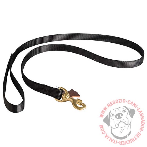 Guinzaglio in nylon "Carefully control" per Labrador Retriever - Clicca l'immagine per chiudere