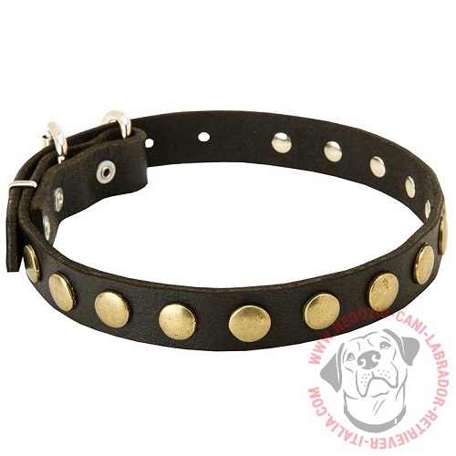 Elegante collare con placche rotonde per Labrador Retriever - Clicca l'immagine per chiudere