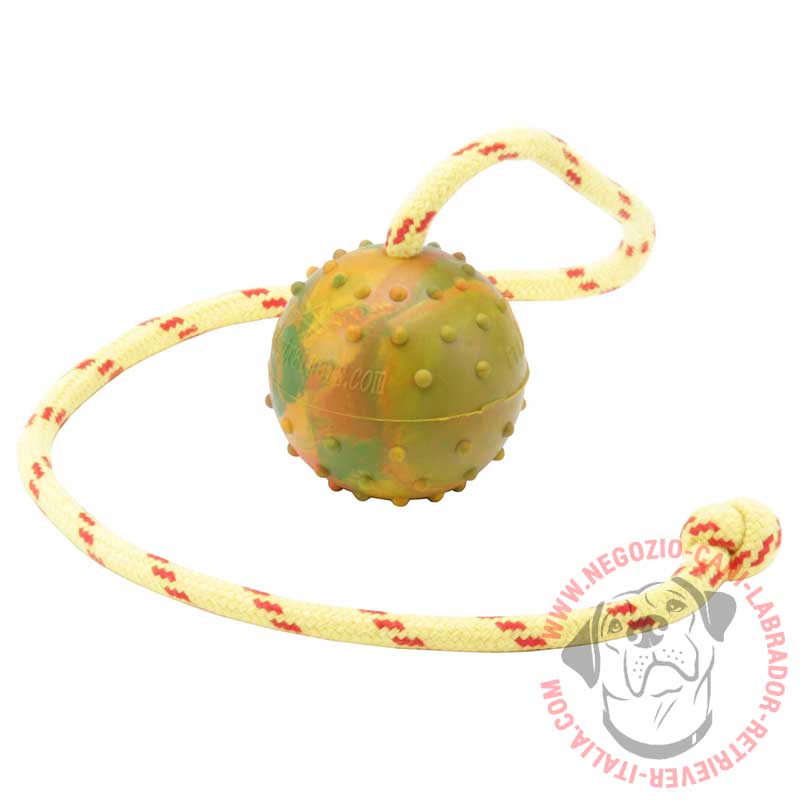 Palla in gomma con corda "Cheerful Pet" per Labrador - Clicca l'immagine per chiudere
