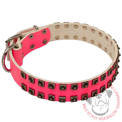 Collare in pelle rosa "Cosmo Lady" per Labrador Retriever - Clicca l'immagine per chiudere