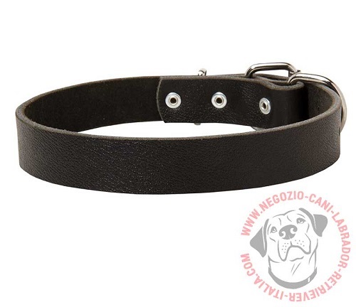 Collare in pelle "Bossy", largo 30 mm, per Labrador Retriever - Clicca l'immagine per chiudere