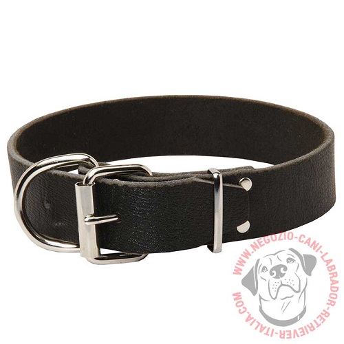 Collare dal classico design, largo 40 mm per Labrador Retriever - Clicca l'immagine per chiudere